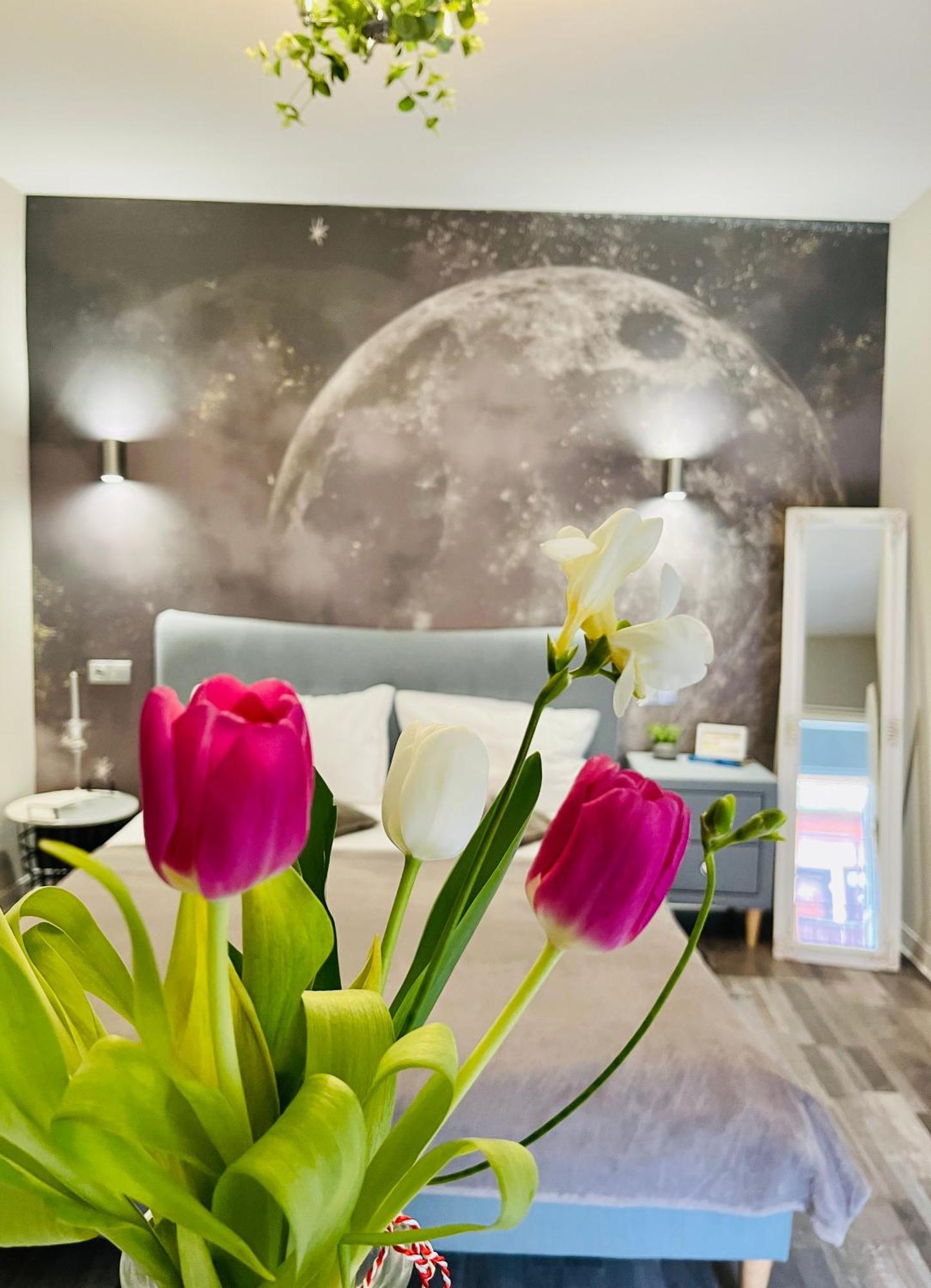 Moon And Sun Apartments Sibiu Exterior foto